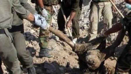 Restos de cadáveres supuestamente de fuerzas de seguridad sirias enterrados en fosas comunes