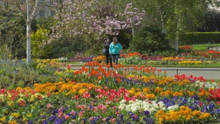 Jardines de Regent's Park, en Londres