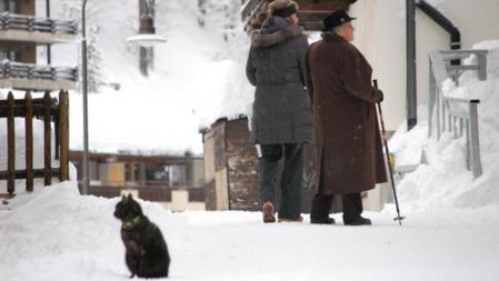 Un gato negro le roba protagonismo a la nieve