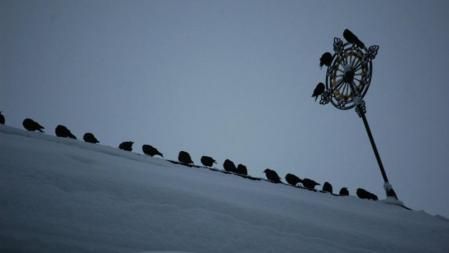 Los pájaros se refugian de la nieve sobre el tejado de la capilla de Zermatt