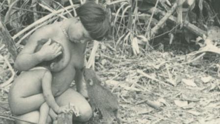 Imagen tomada por Fèlix Cardona en la selva