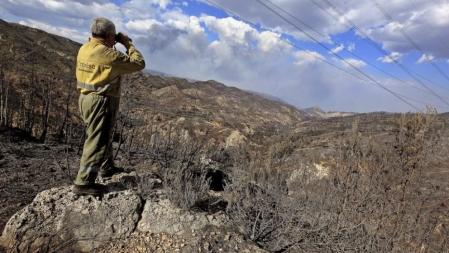 Un brigadista forestal observa la gran zona quemada en el término municipal de Cortes de Pallás, donde un incendio forestal en 2012 afectó a mas de diez muncipios de la provincia de Valencia