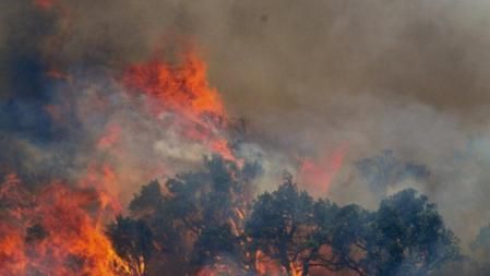 Las llamas del incendio forestal, cerca de la aduana de La Jonquera