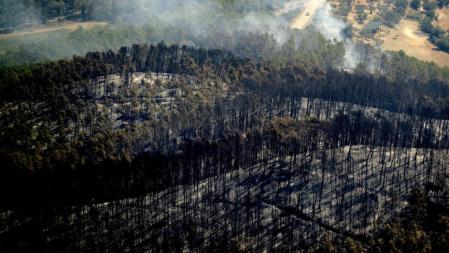 Vista aérea de las zonas calcinadas por el fuego en el flanco occidental del incendio en el Alt Empordà