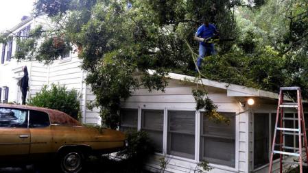 La caída de árboles ha provocado varias muertes en EE.UU. y Canadá