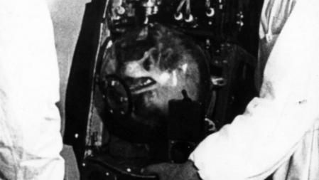 El 3 de noviembre 1957, Laika fue el primer animal puesto en órbita, allanando el camino para los vuelos espaciales tripulados.
