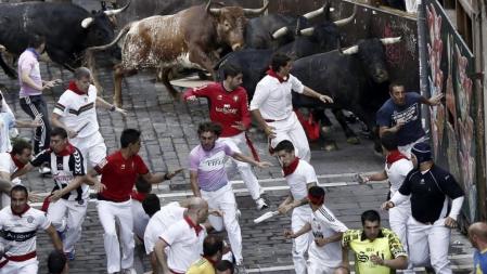 Los toros de la ganadería de los Miura, que han protagonizado el último encierro del San fermín 2013, chocan contra el vallado de la curva de Mercaderes