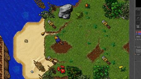 Imagen del juego de rol 