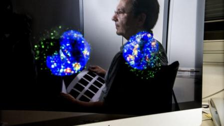 Raúl Méndez, biólogo en el Institut de Recerca Biomèdica de Barcelona / Icrea