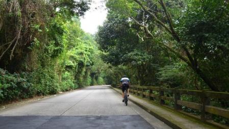 Parque Nacional de la Tijcua en Río de Janerio