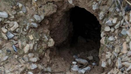 Madriguera de conejo con restos de excrementos en el camino de entrada en una finca en la comarca de les Garrigues
