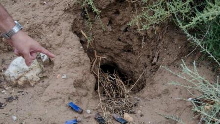 El agricultor señala una de las madrigueras de conejo en su finca