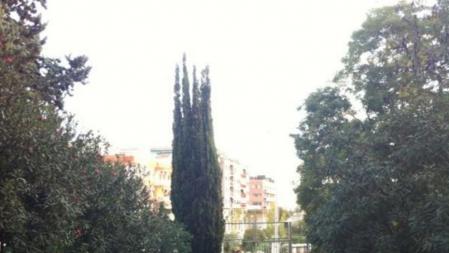 Colas en el Institut Isaac Albéniz de Badalona para votar en el 9N