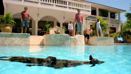 Esa piscina tiene buena pinta incluso con una cabra muerta.