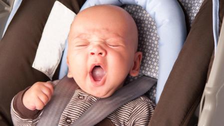 El bostezo es una acciones involuntarias que los humanos compartimos con muchas otras especies