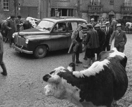 Renault Colorale (1950)