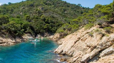 Cala Bona. Tossa de Mar. Ajuntament de Tossa de Mar