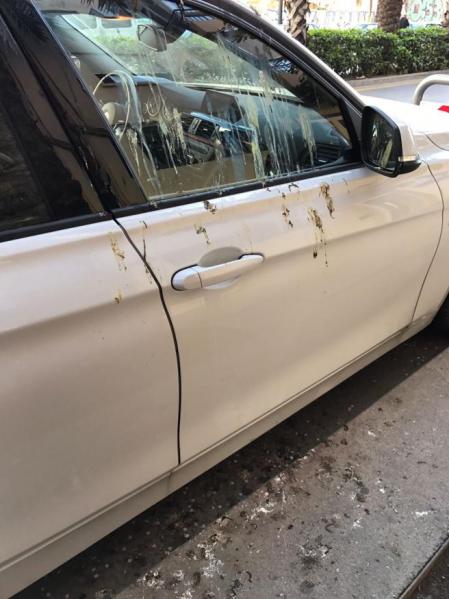 Aparcar bajo un árbol tiene el riesgo de que los pájaros acribillen el coche con sus excrementos