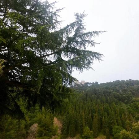 Paisaje en torno a la Carretera de las Aguas.