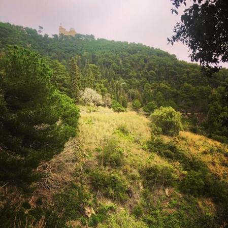 Paisaje en torno a la Carretera de las Aguas.