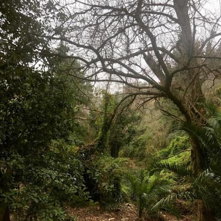 Paisaje en torno a la Carretera de las Aguas.