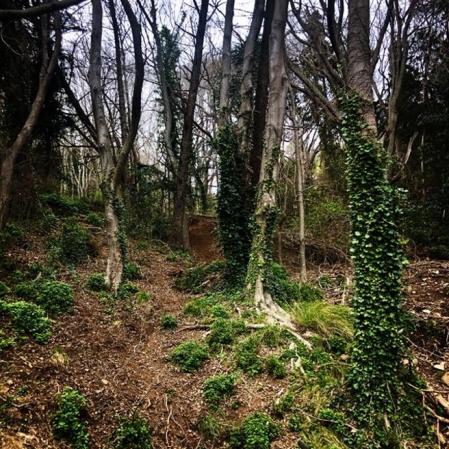 Paisaje en torno a la Carretera de las Aguas.