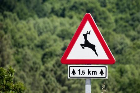 Ante una señal de peligro por presencia de animales en la carretera, los conductores deben extremar la precaución al volante&nbsp;