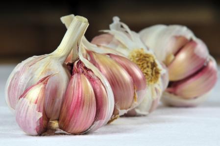 Ajo morado español