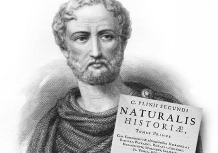 Plinio El Viejo