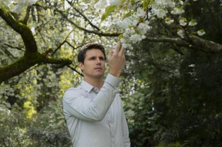 Robbie Amell.