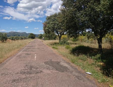 Carretera con deterioro estructural, grietas y baches. Las marcas viales están desgastadas en el eje y son inexistentes en los laterales. Árboles en los márgenes sin protección ante una salida de vía