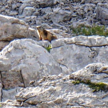 Excursión al ibón de Piedrafita y al arco natural.