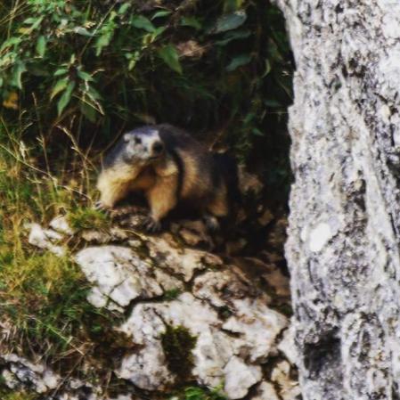 Excursión al ibón de Piedrafita y al arco natural.