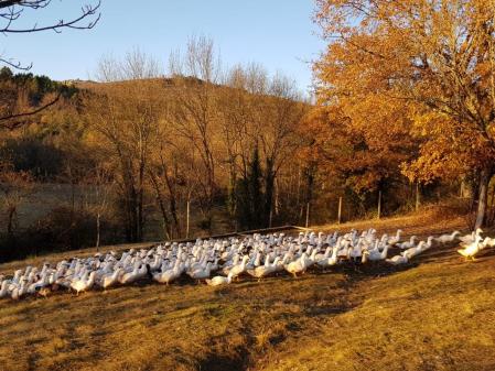 f85a907b-cd1f-4506-918b-2fcb59ed2d02