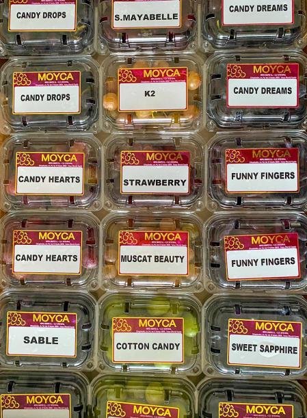 IFG cuenta con nada menos que un catálogo de 30 variedades de uvas con sabores y formas diferentes