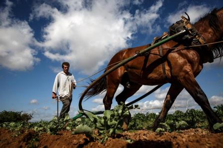 Vivir en el campo ayuda a combatir de otra forma el estrés social. Ricard Miret decidió hace ya tiempo trabajar el campo con la ayuda de animales en lugar de maquinaria agricola. En la imagen junto a su caballo âNegreâ en el huerto que posee a pocos kilometros de Sitges. Foto David Airob