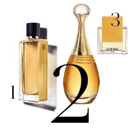 Bodegon Perfume 1