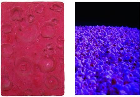 Moon II y Luz de Luna, obras, respectivamente del artista francés Yves Klein (1928-1962) y la artista conceptual brasileña Lygia Pape (1927-2004)