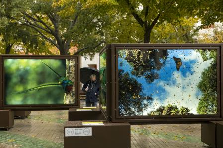 La exposición de CaixaBank 'De Polo a Polo', en la avenida de Sarasate, en Pamplona, cuenta con fotos de grandes dimensiones, no menos espectaculares de 'National Geographic'