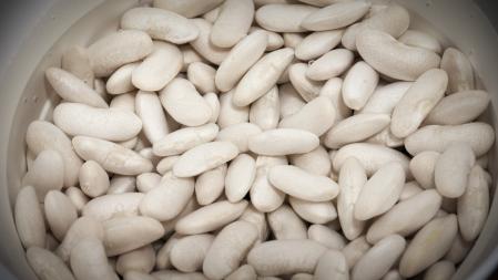 Fabas asturianas en remojo en un recipiente blanco