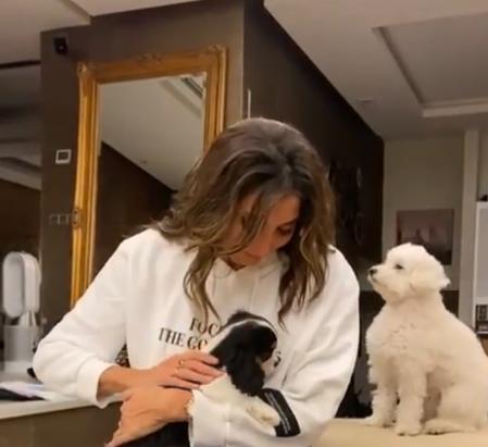 Paz Padilla, emocionada al recibir un nuevo cachorro llamado Suti