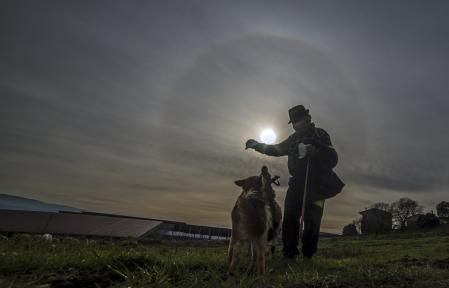 El halo solar enmarca la escena del pastor con su perro y la oveja.