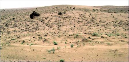 Paisaje del desierto del Thar.