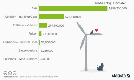 Fallecimientos de aves según su causa