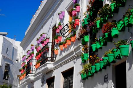 Flores en la fachada de una casa blanca de Vejer de la Frontera.
