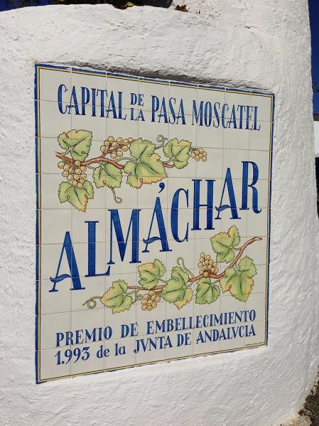 Almáchar es conocido también como la capital del ajoblanco