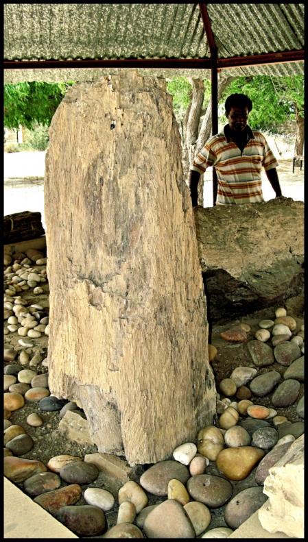 Fósil del yacimiento de Akal.