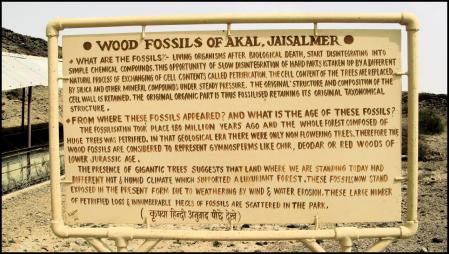 Cartel explicativo en el Parque de Fósiles Akal.