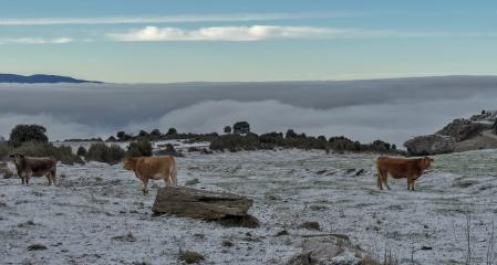 Manto blanco de nieve en Tavertet.