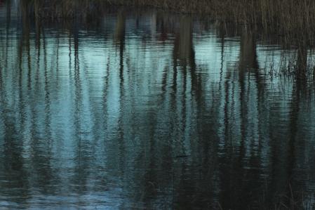 Reflejos en le lago de Banyoles.